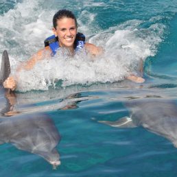 CTbC - Activity - Swim with Dolphins - Pull